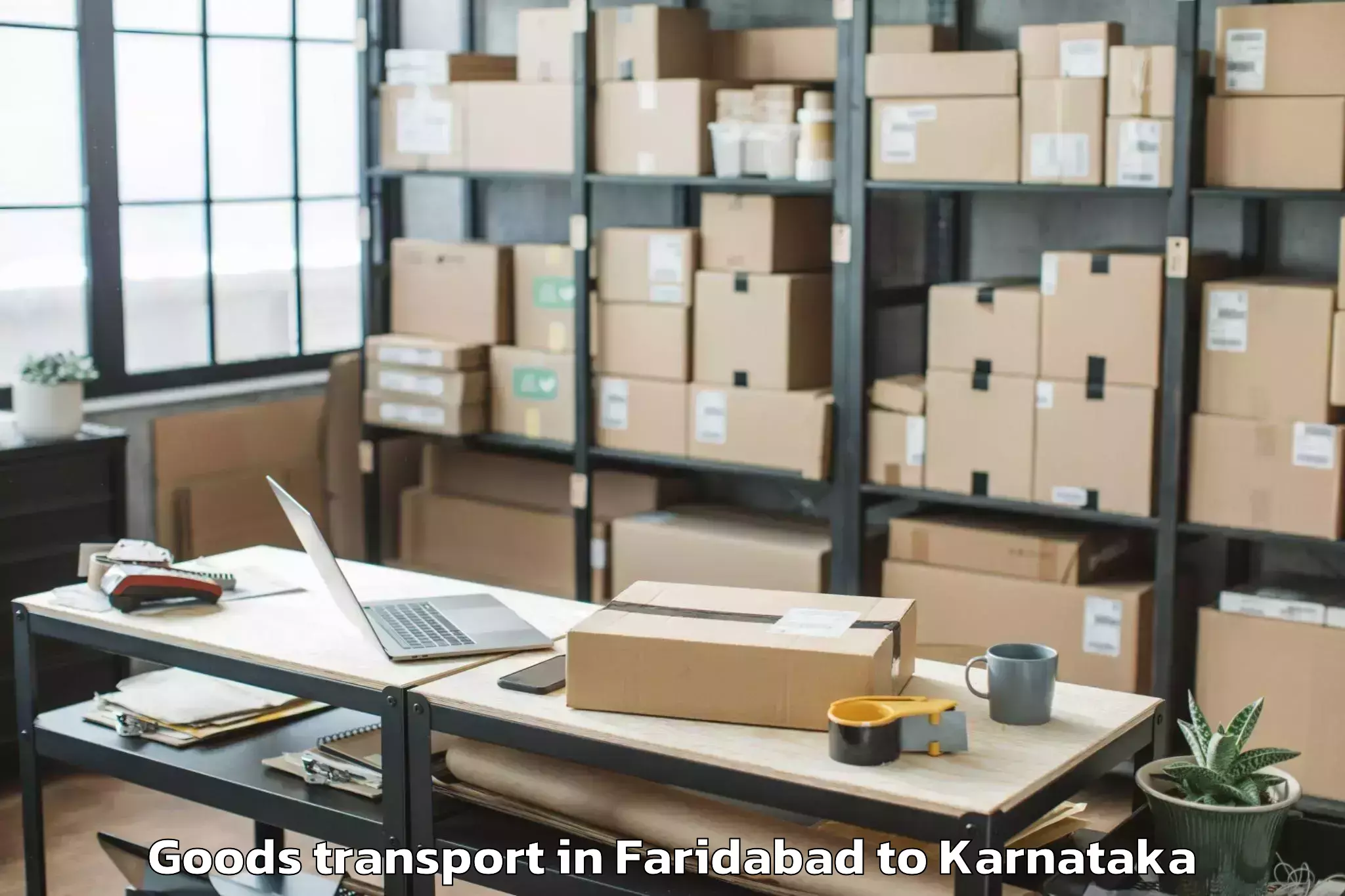 Professional Faridabad to Tirumakudalu Narasipura Goods Transport